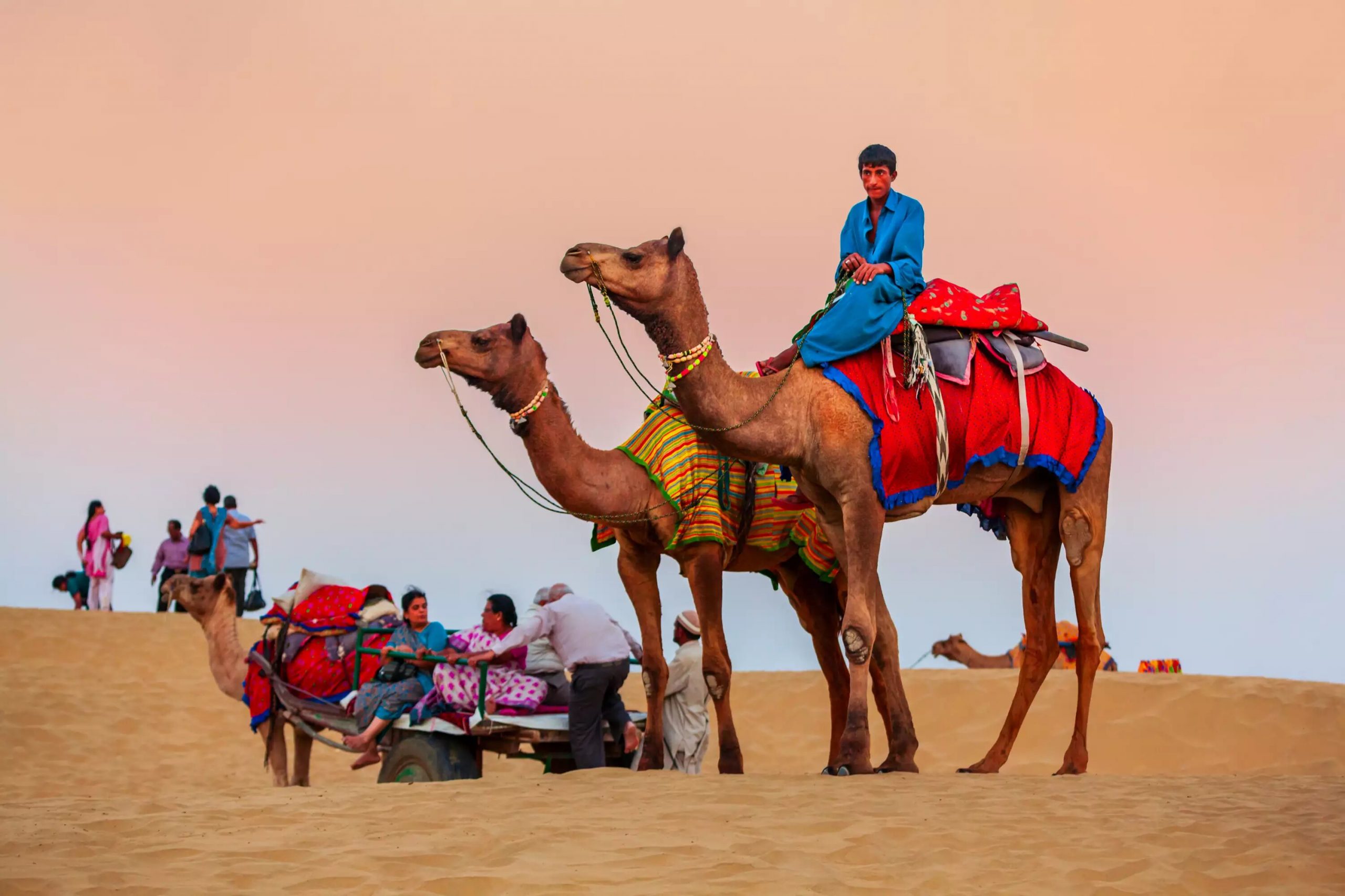 Desert National Park Jaisalmer